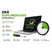 Oră suplimentară intervenție IT – La sediu sau remote
