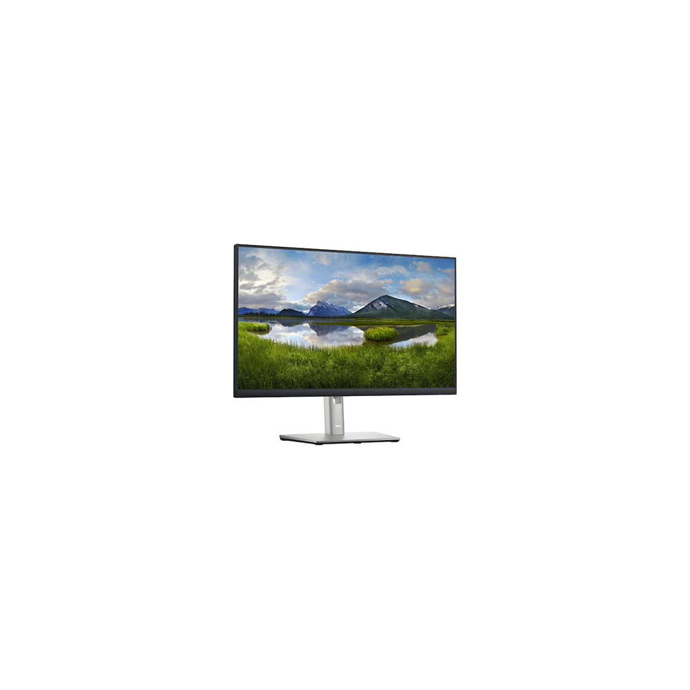 Monitor Dell P2422H 24" IPS Full HD HDMI DisplayPort Refurbished | Fix4IT